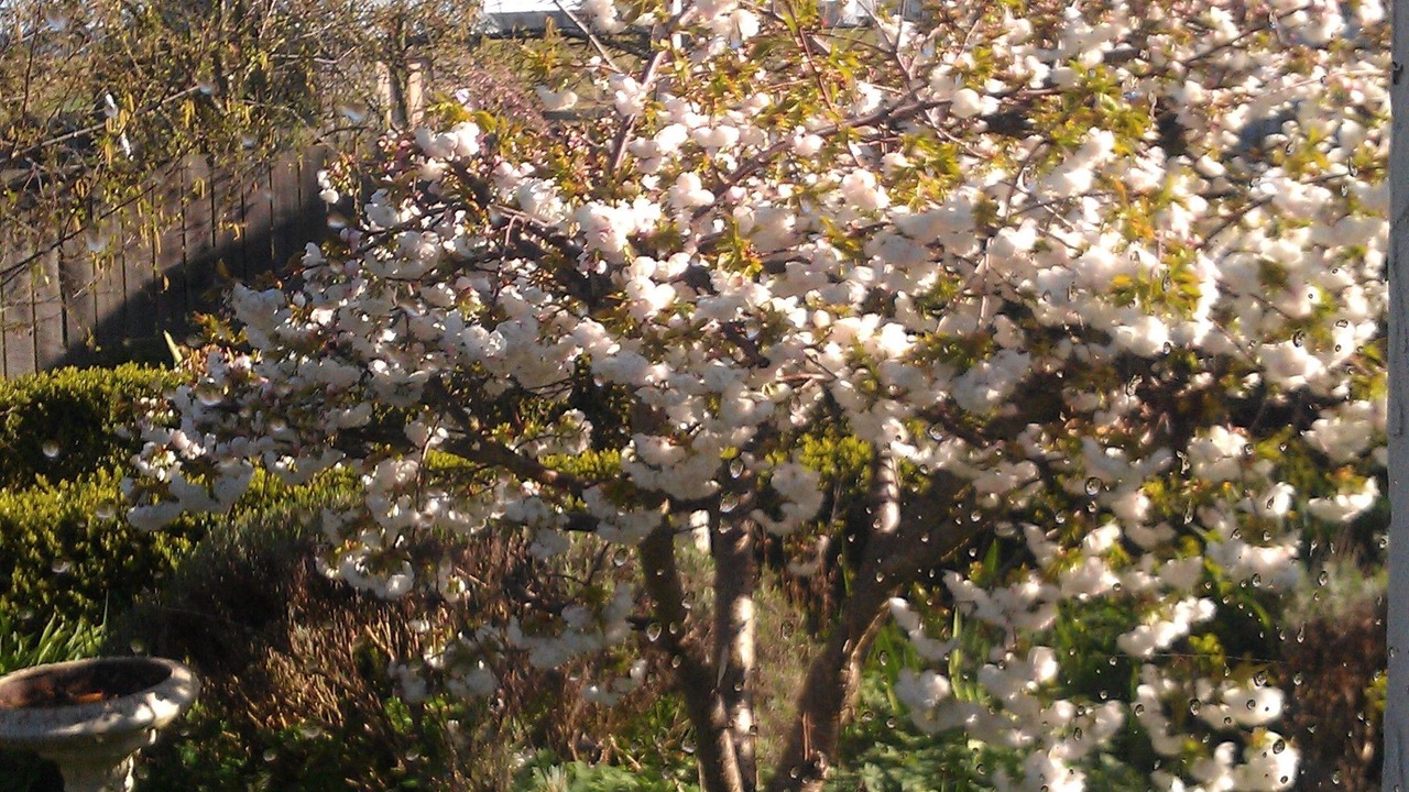Photo of Outdoor in Campbell Town