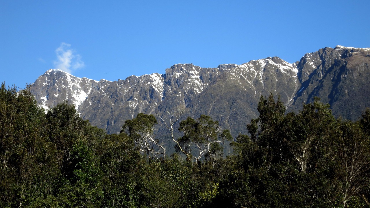 Photo of Others in Fox Glacier
