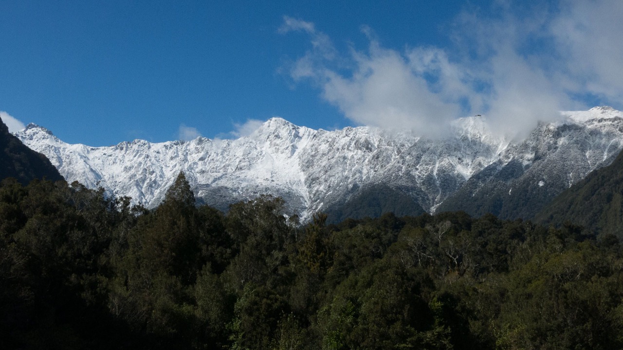 Photo of Others in Fox Glacier