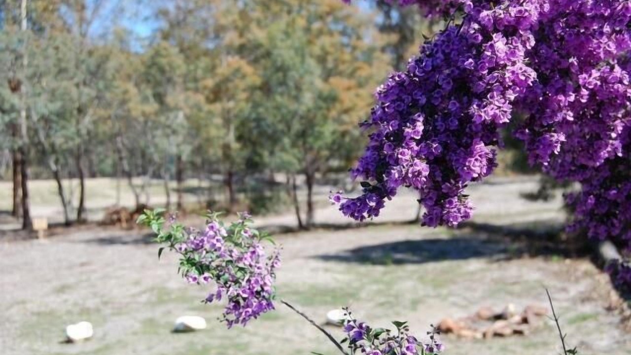 Photo of Outdoor in Little Swanport