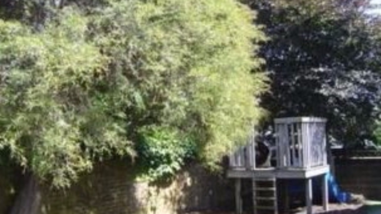 Photo of Outdoor in Tahunanui