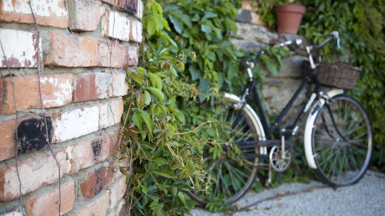 Photo of Outdoor in Clyde