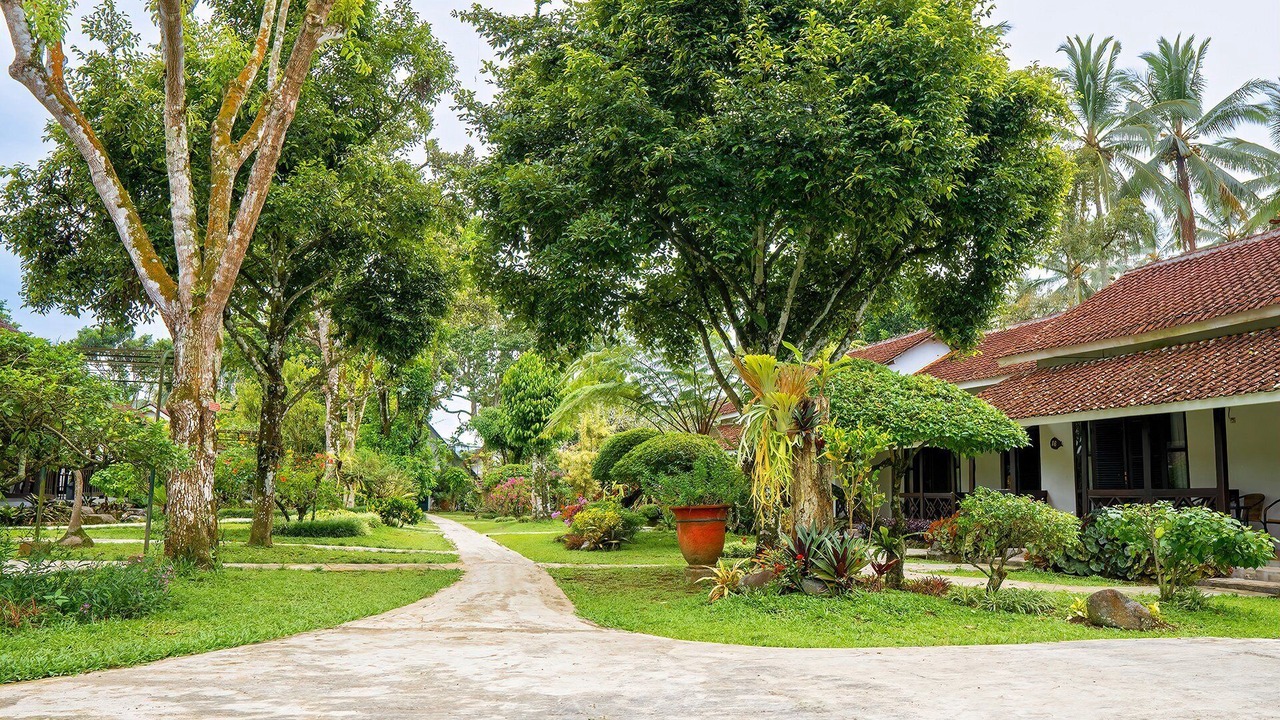 Photo of Outdoor in Kalibaru