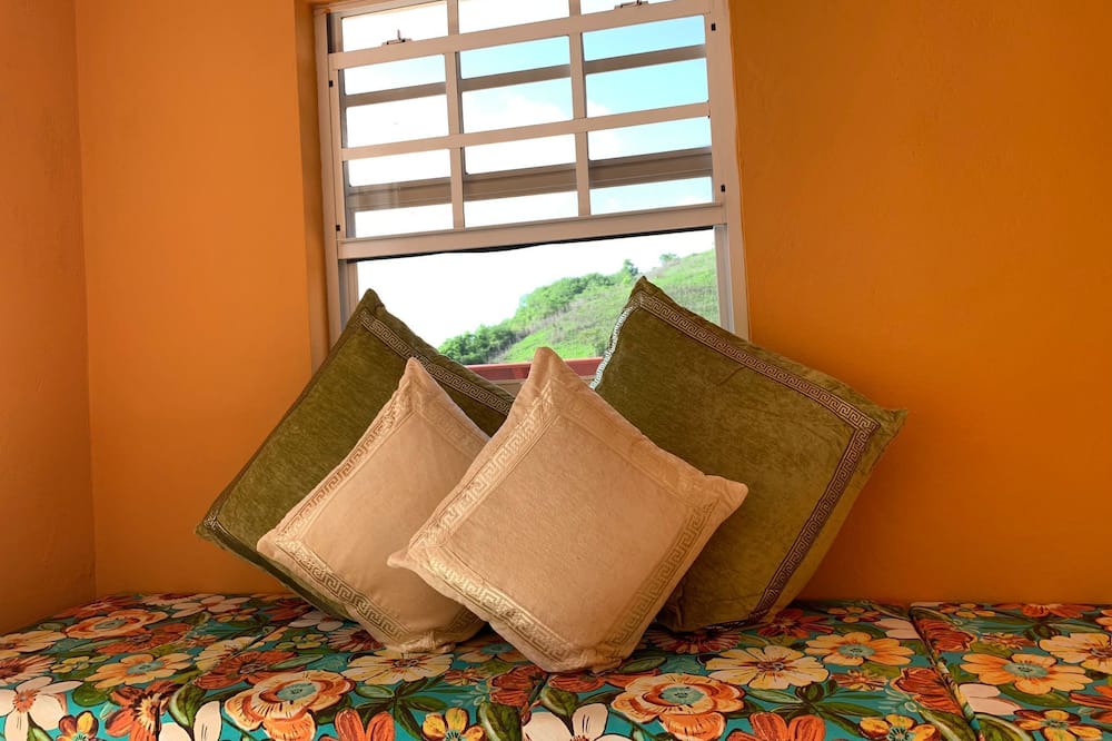 Photo of Others in Canaries