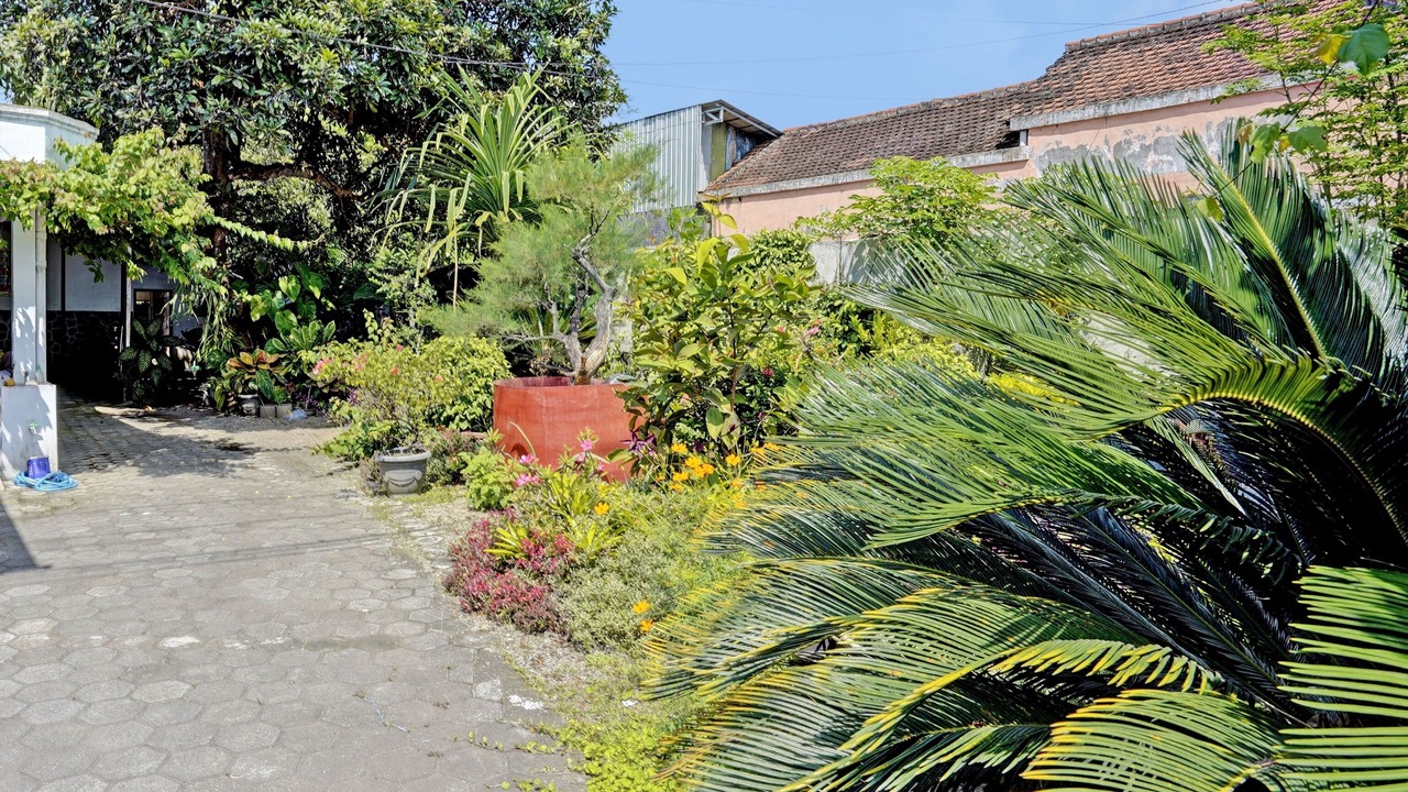 Photo of Outdoor in Banyuwangi