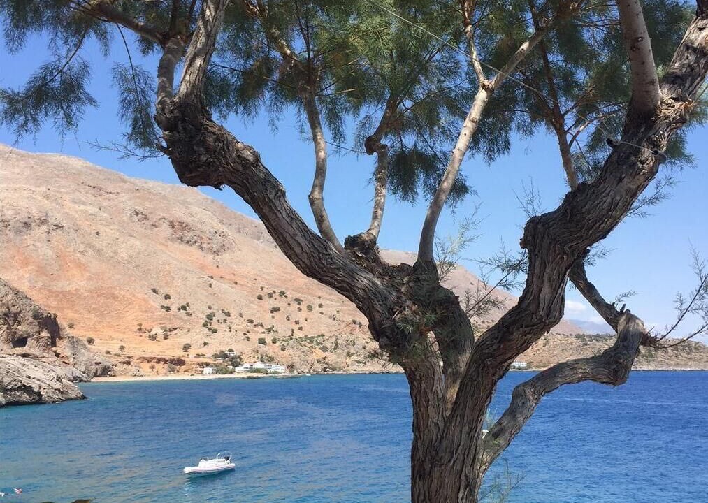 Photo of Others in Loutro