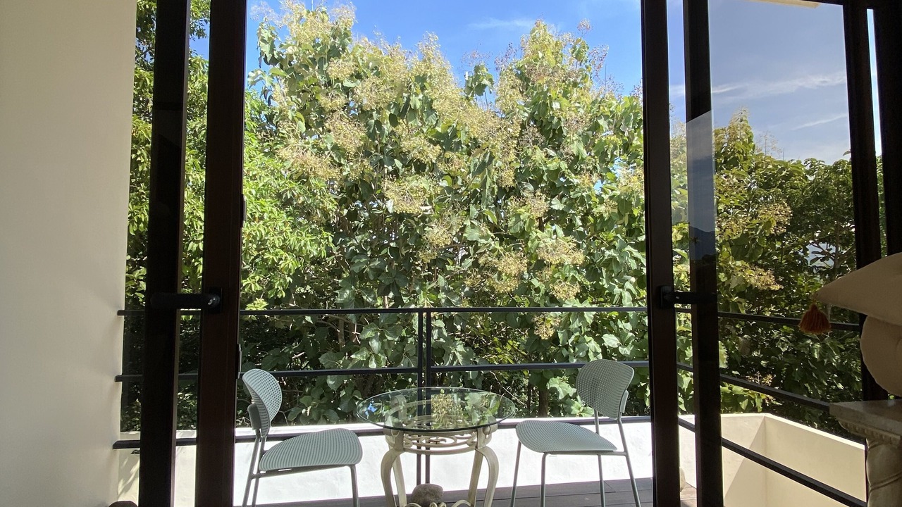 Photo of Outdoor in Coyolar