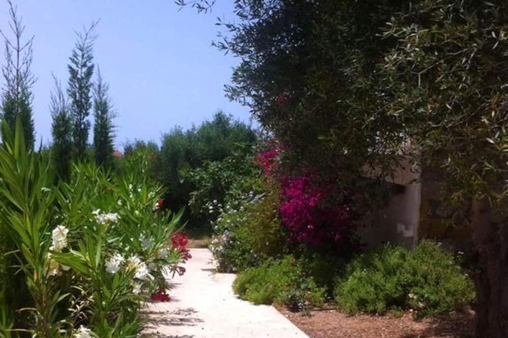 Photo of Outdoor in Lepreo