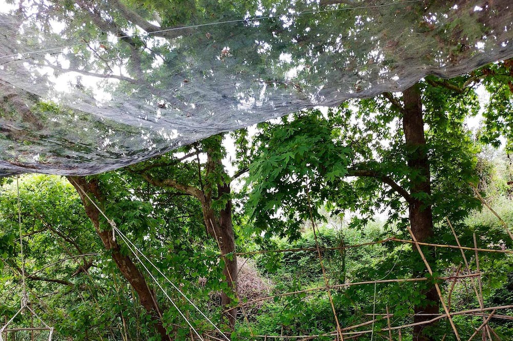 Photo of Outdoor in Platanias