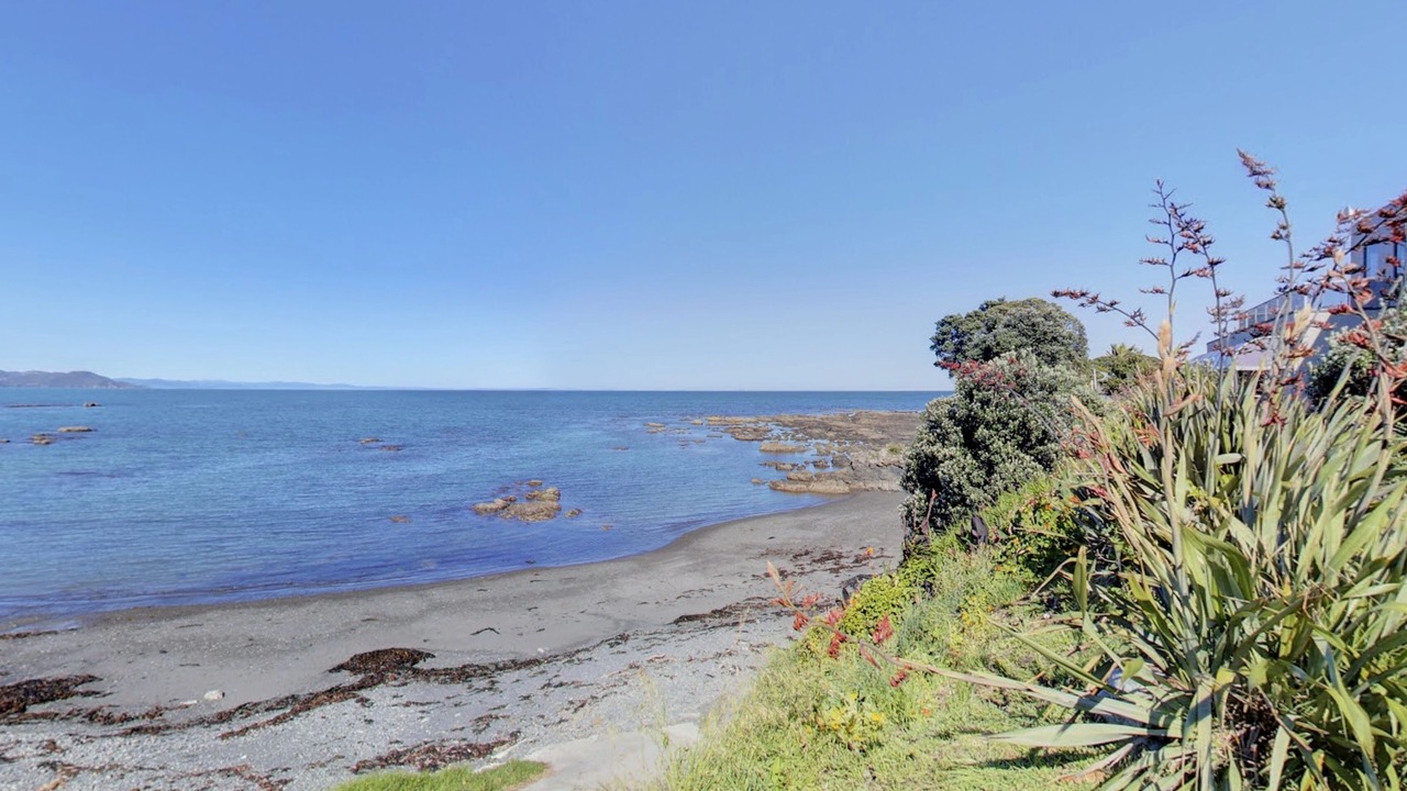 Photo of Others in Te Kaha