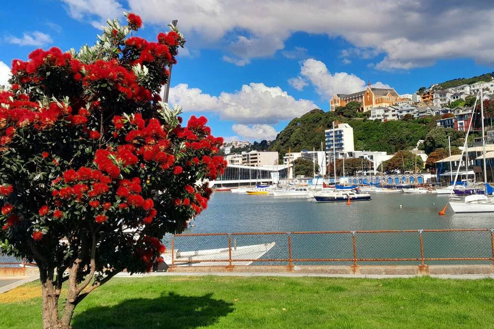 Photo of Outdoor in Newlands