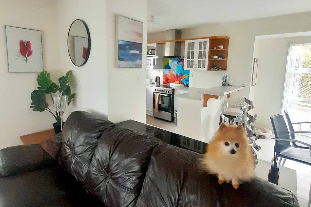 Photo of Livingroom in Newlands