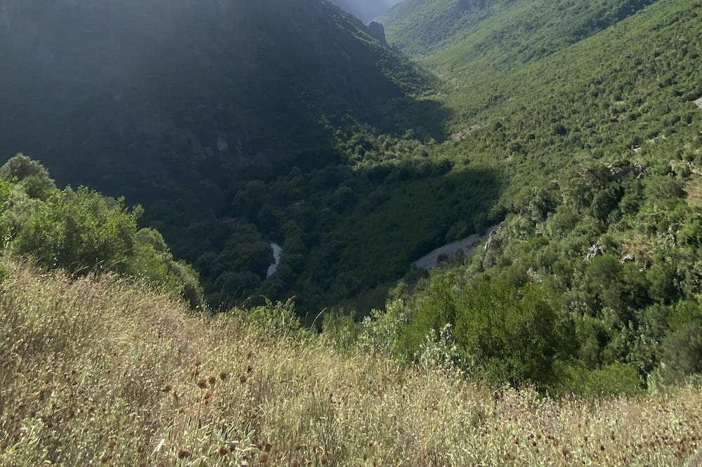 Photo of Others in Aristi