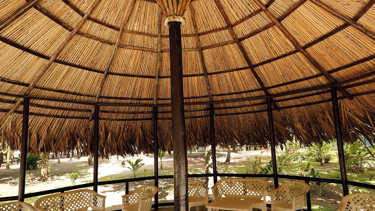 Photo of Outdoor in Tortuguero