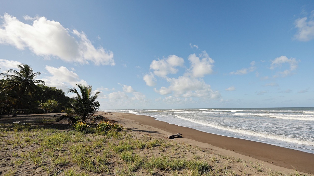 Photo of Others in Tortuguero