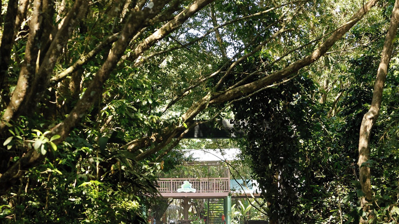 Photo of Outdoor in Tortuguero