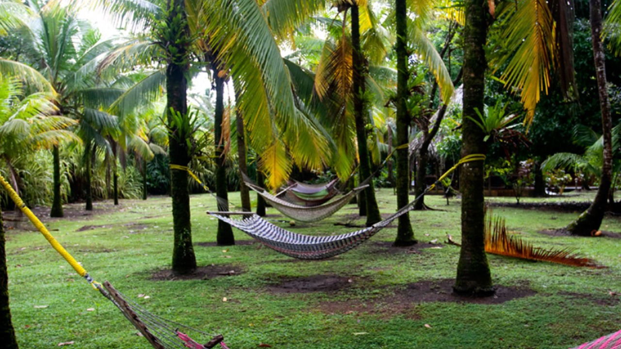 Photo of Outdoor in Tortuguero