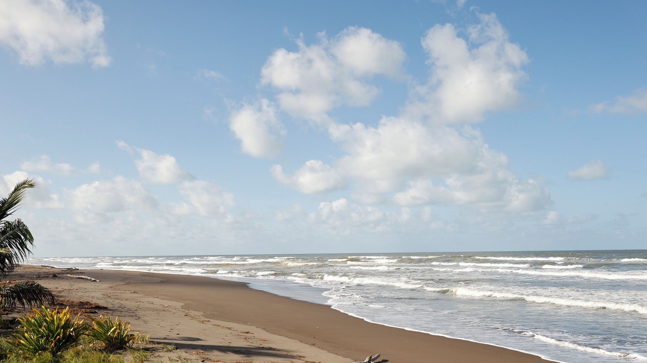 Photo of Others in Tortuguero
