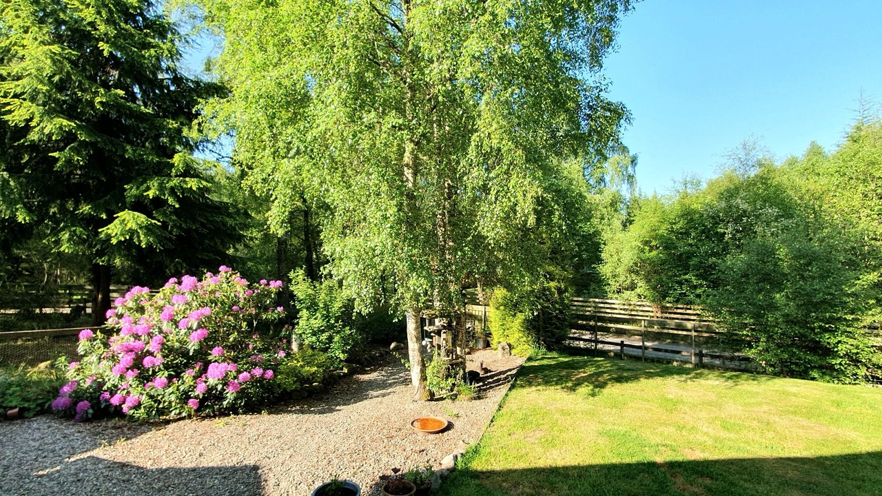 Photo of Outdoor in Balnain
