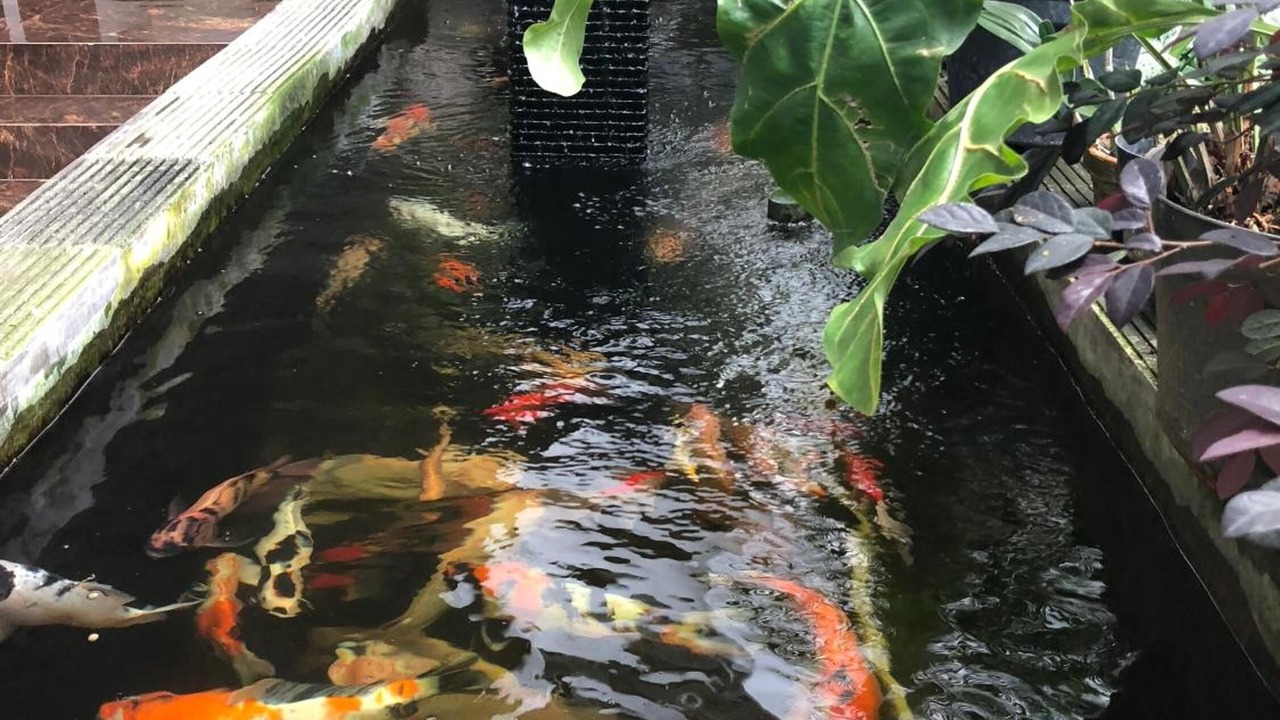 Photo of Outdoor in Dinoyo