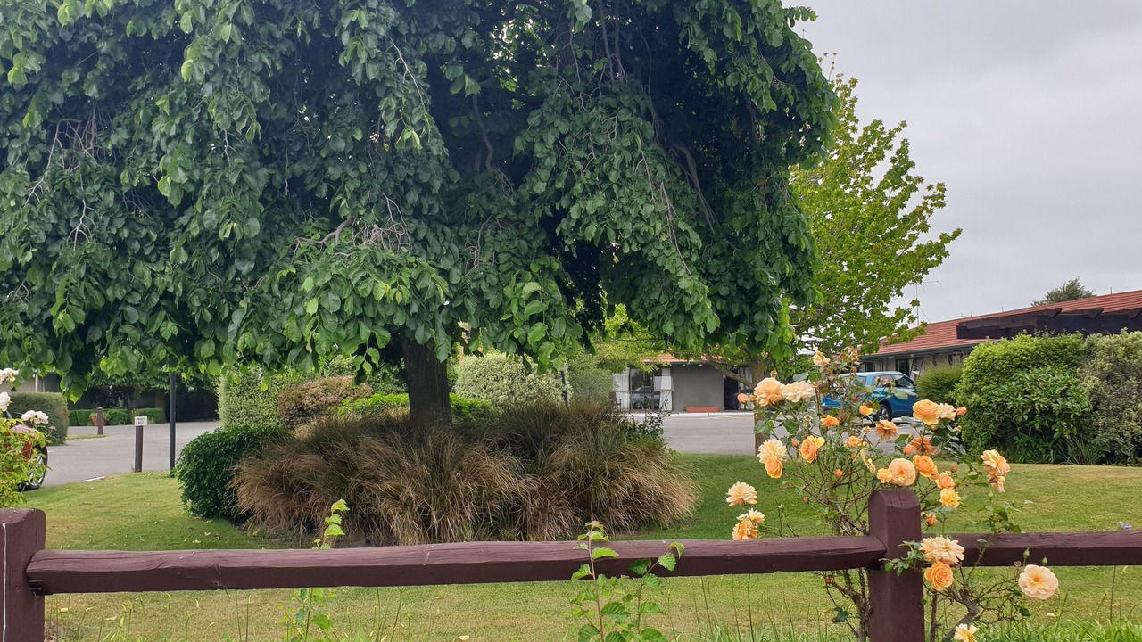 Photo of Outdoor in Ashburton