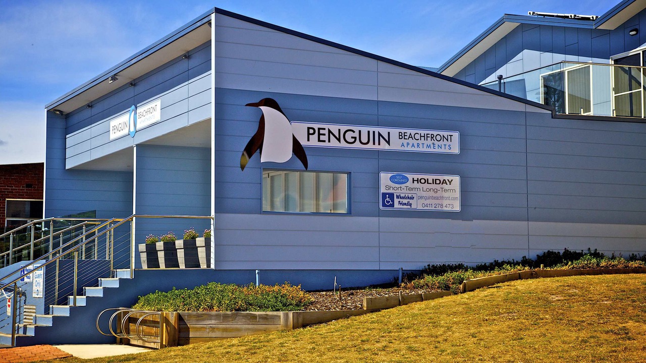 Photo of Outdoor in Penguin