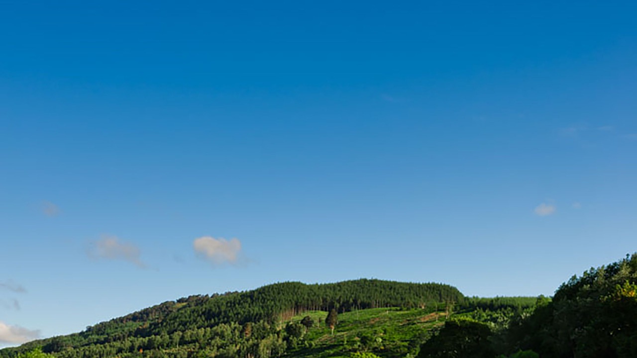 Photo of Outdoor in Logierait
