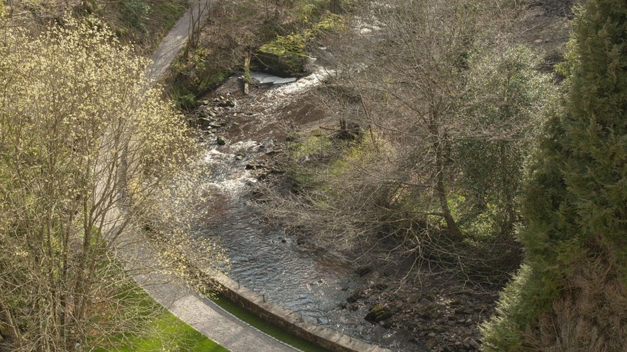 Photo of Bedroom in Glasgow