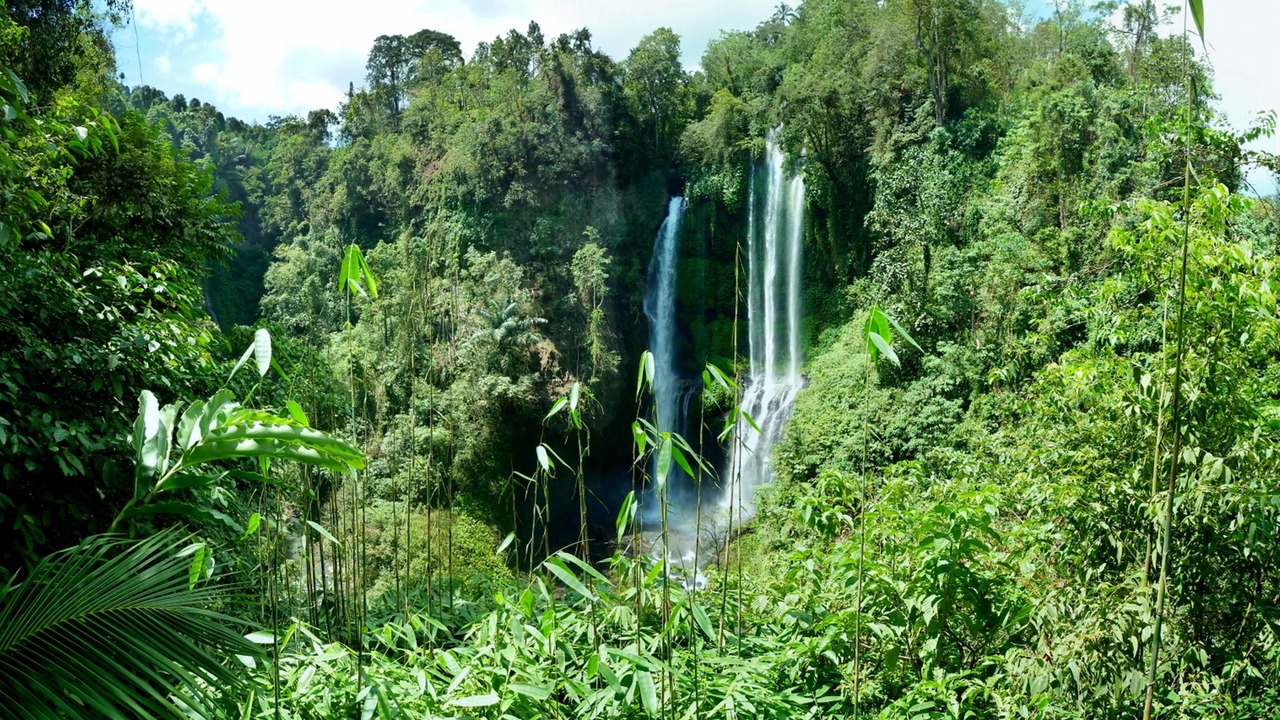 Photo of Outdoor in Buleleng
