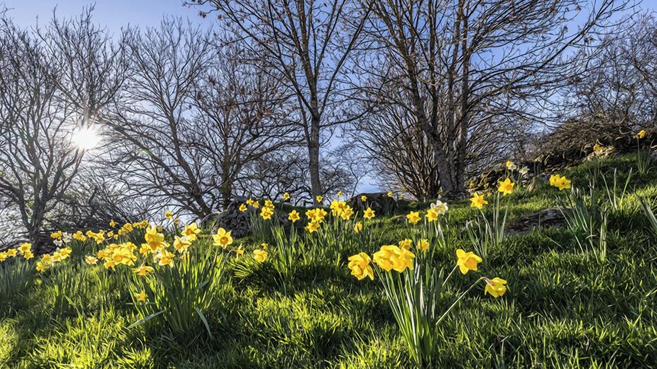 Photo of Outdoor in Aberfeldy