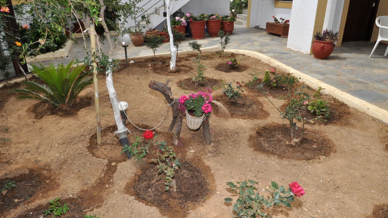 Photo of Outdoor in Agia Pelagia