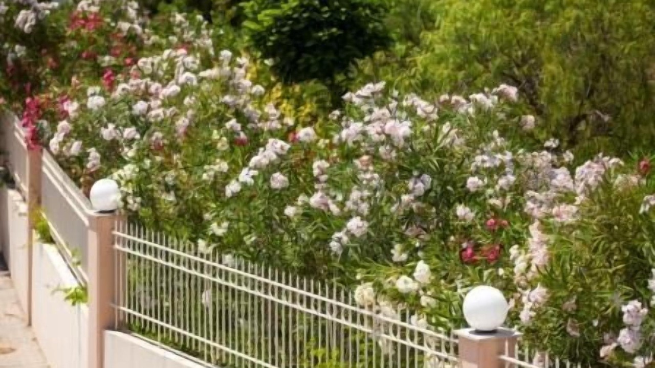 Photo of Outdoor in Plitra