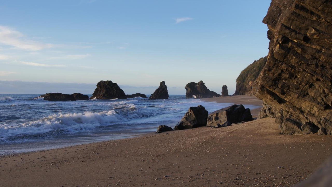 Photo of Others in Haast