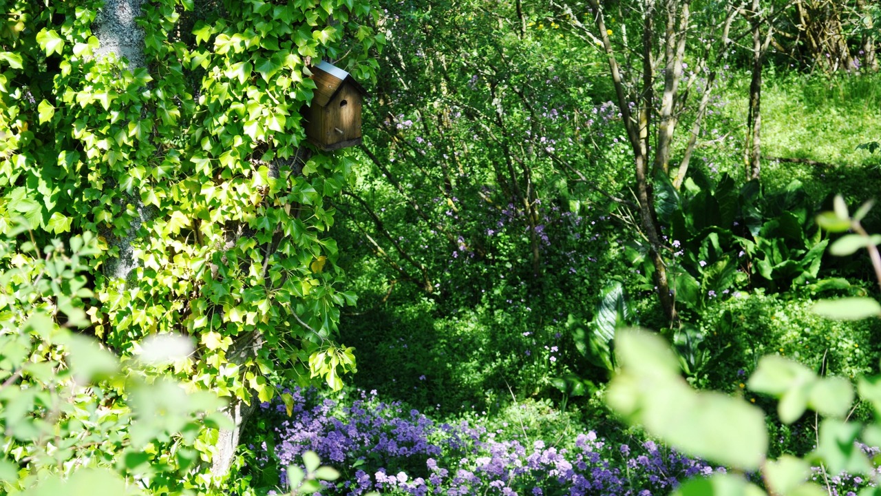 Photo of Outdoor in Pitlochry