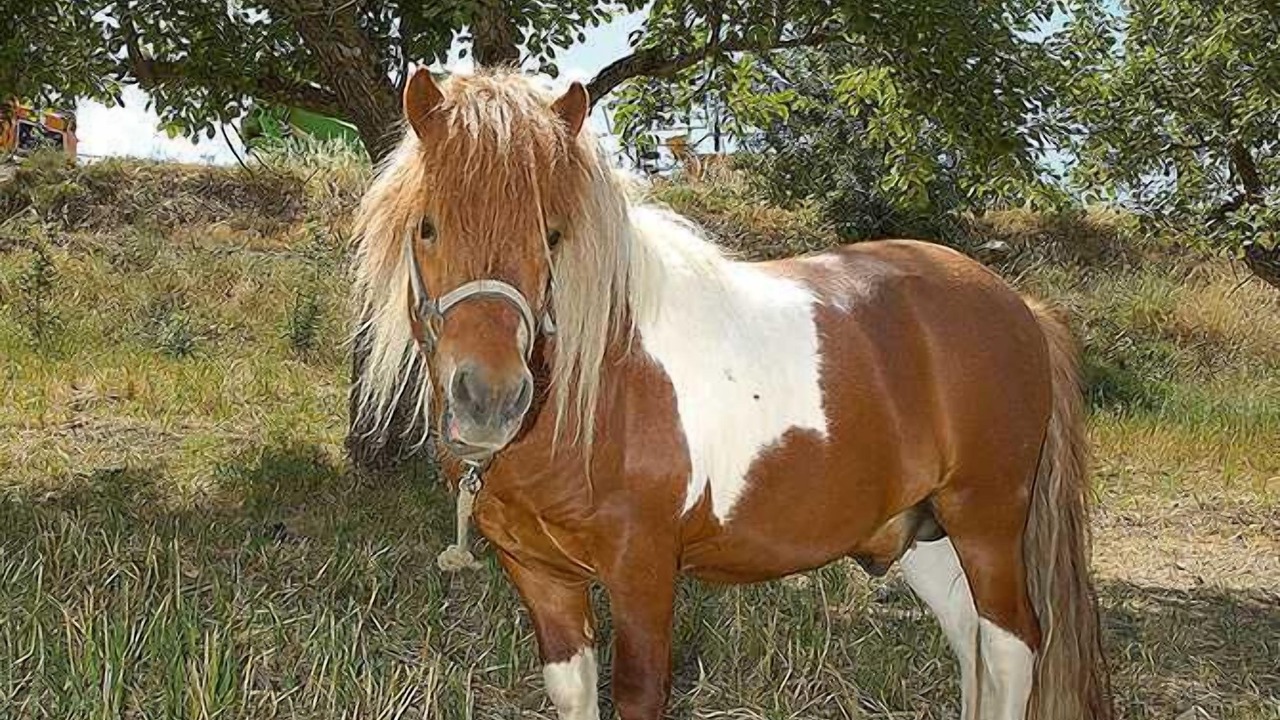 Photo of Outdoor in Agios Georgios