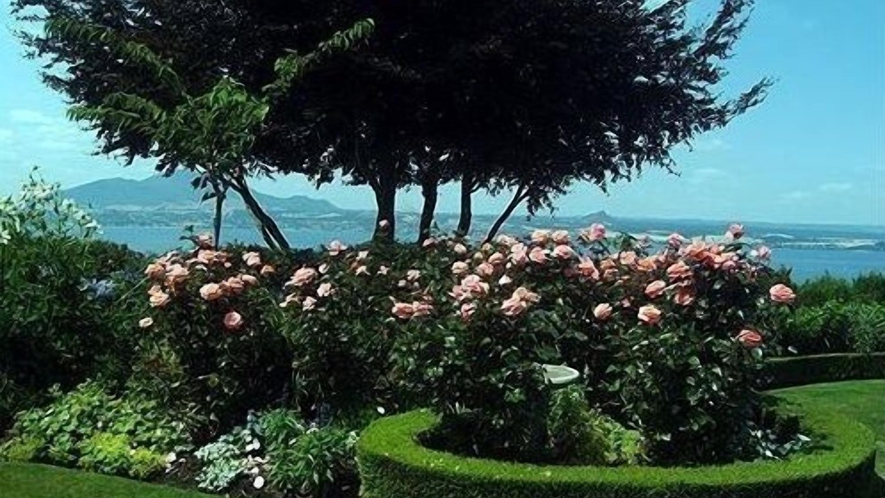 Photo of Outdoor in Taupo