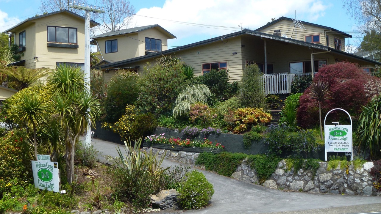 Photo of Outdoor in Waitomo Caves