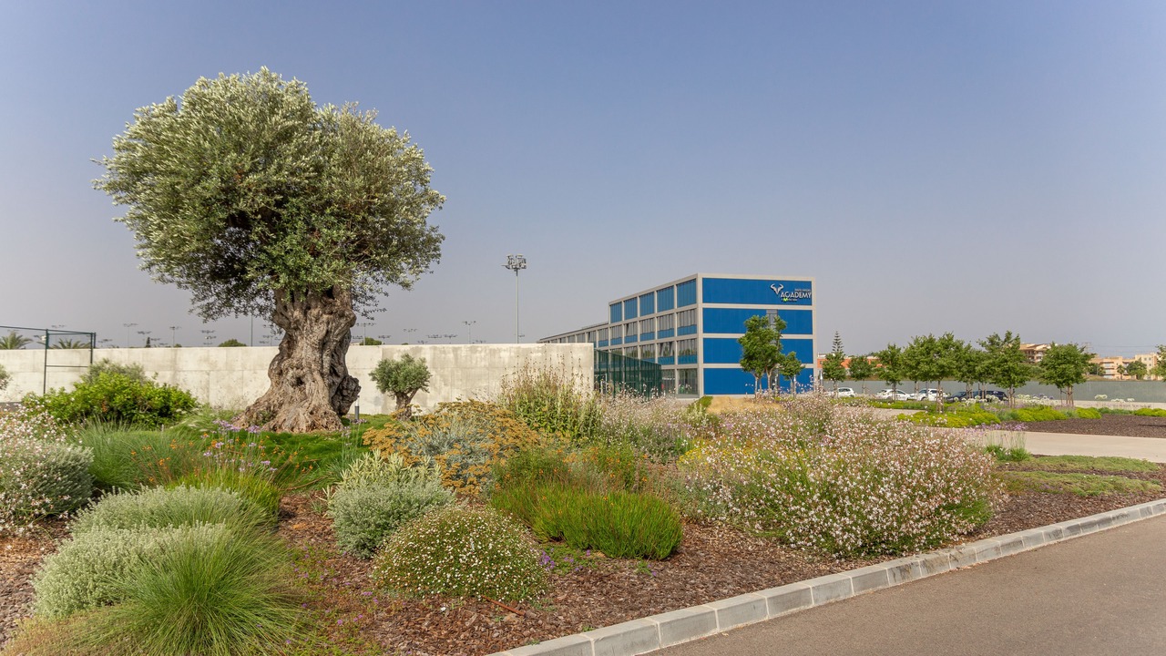 Photo of Outdoor in Manacor