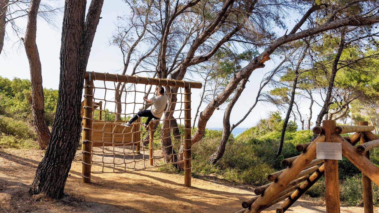 Photo of Others in Sane