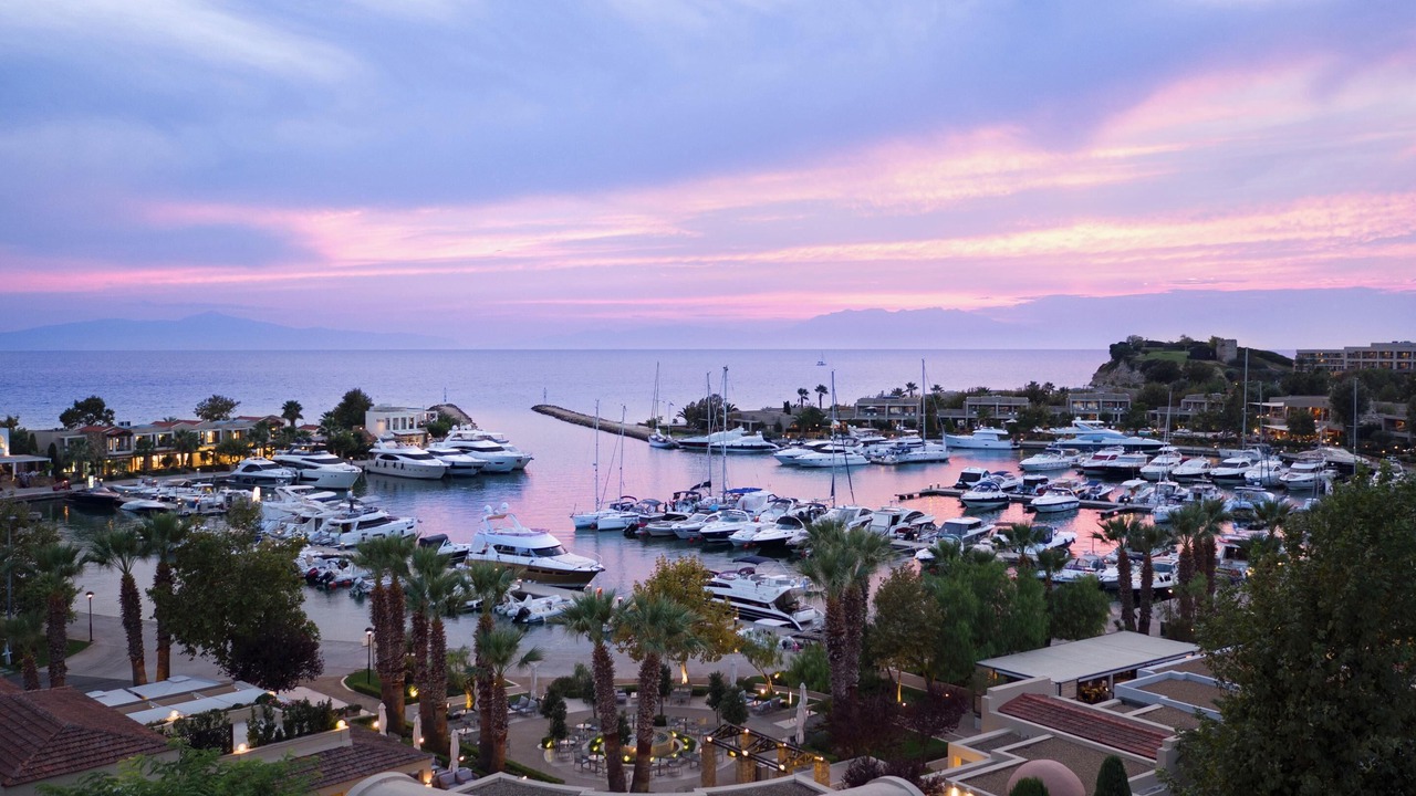 Photo of Others in Sane