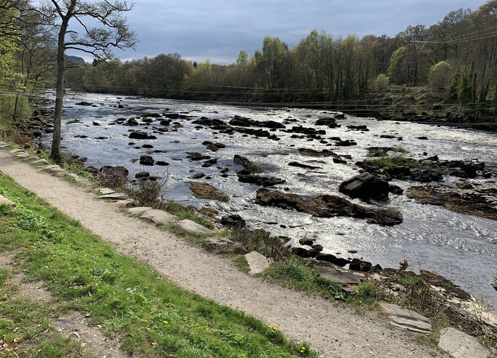 Photo of Others in Strathtay