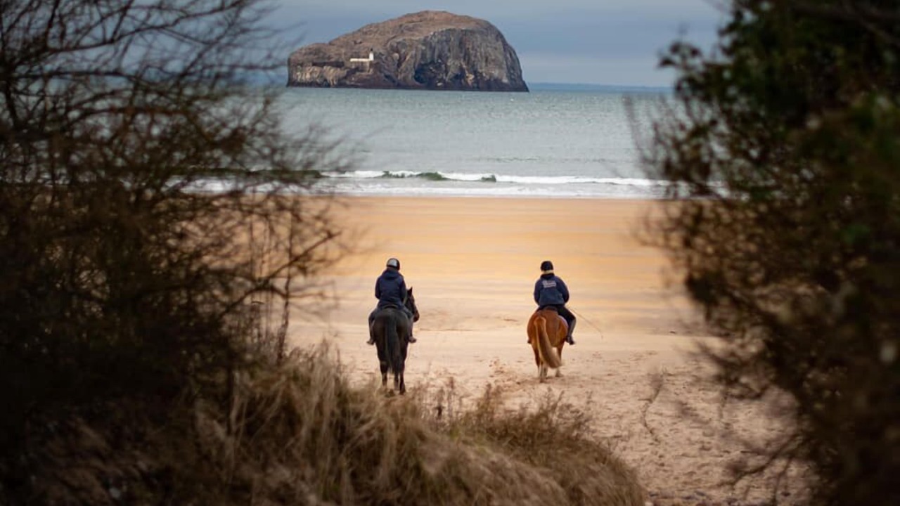 Photo of Others in North Berwick