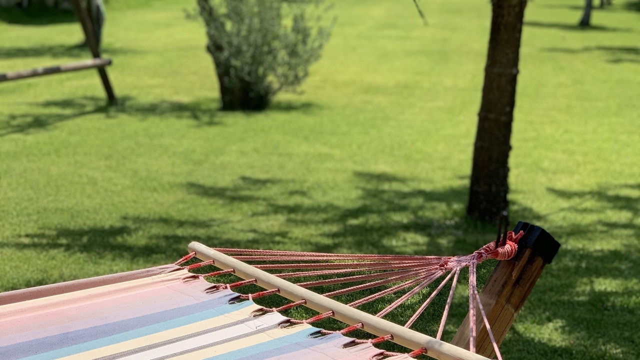 Photo of Outdoor in Minia
