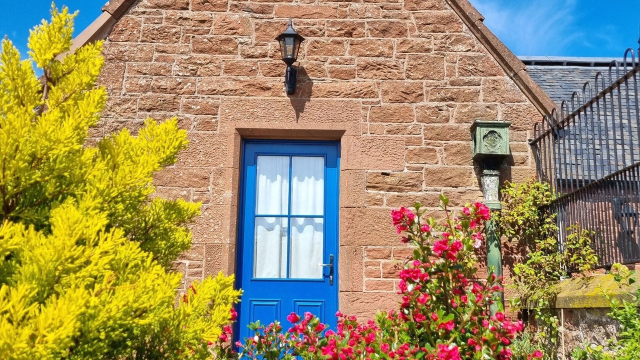 Photo of Others in Dunbar