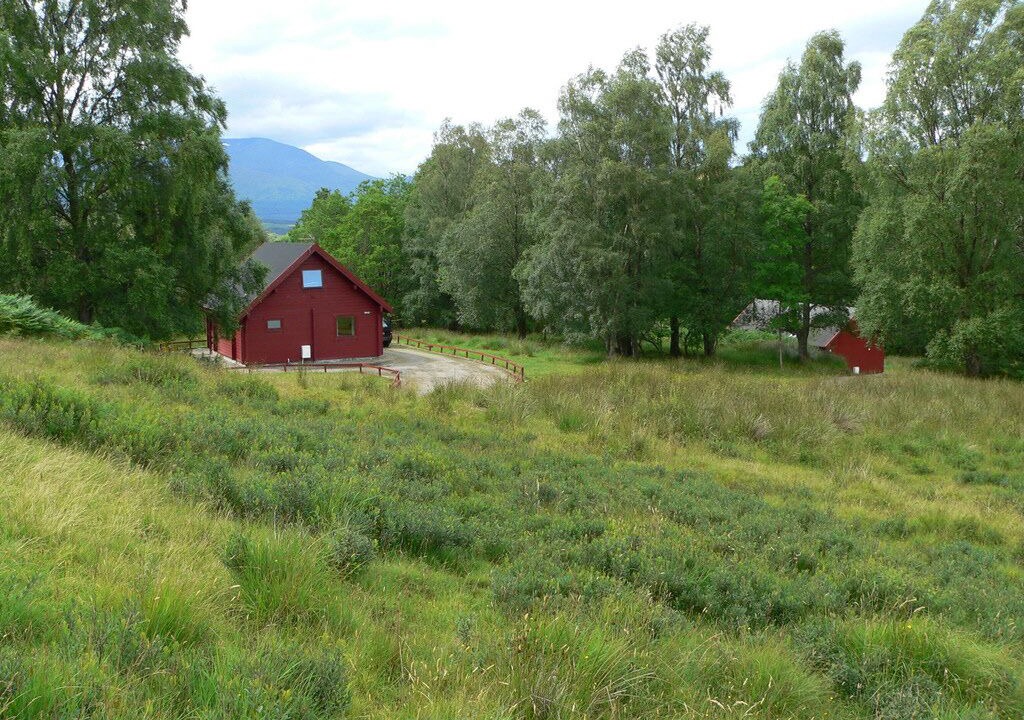 Photo of Outdoor in Roybridge