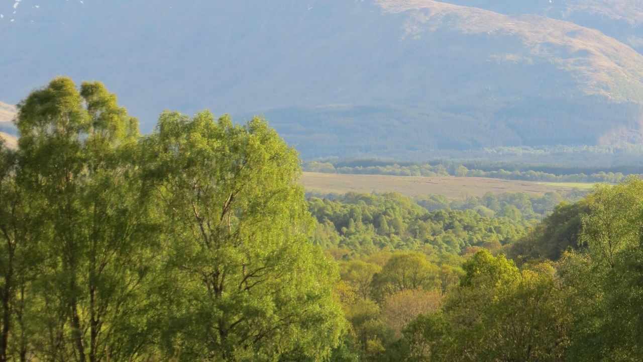 Photo of Outdoor in Roybridge