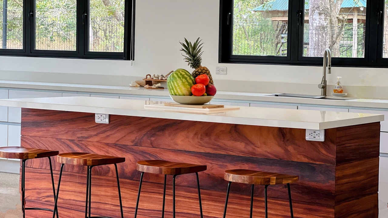Photo of Kitchen in Avellanas Beach