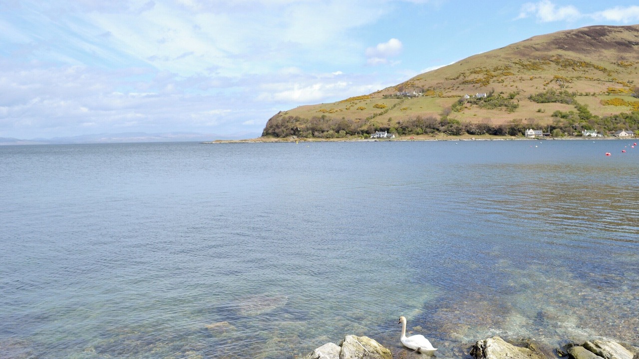 Photo of Others in Lochranza