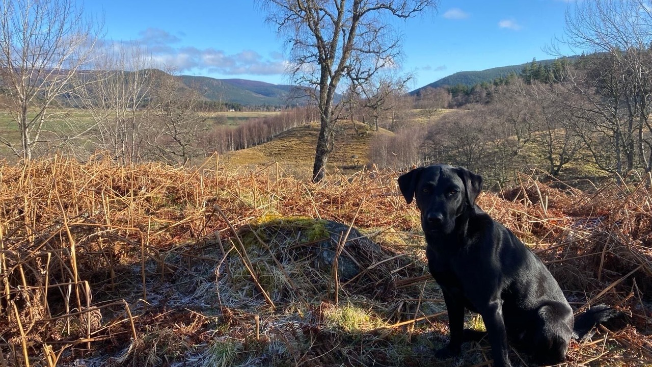 Photo of Others in Ballater