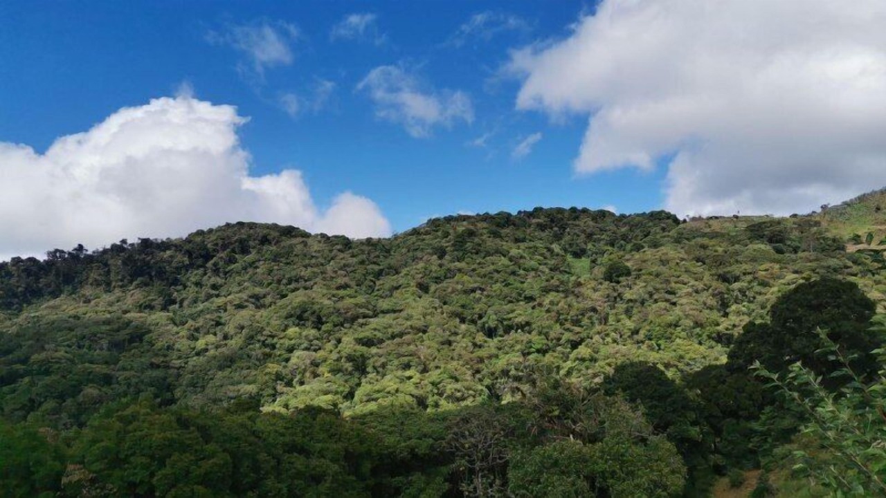 Photo of Outdoor in San Isidro